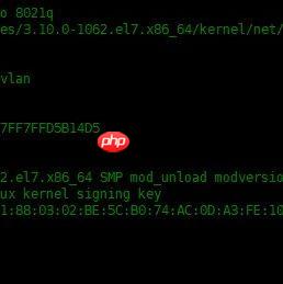 冷知识，教你如何在 Linux 上划分VLAN！