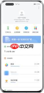 荣耀手机如何查看陪伴时长