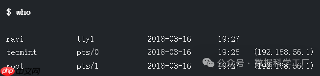 Linux 10 个“who”命令示例