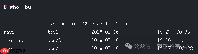 Linux 10 个“who”命令示例