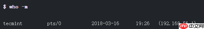 Linux 10 个“who”命令示例