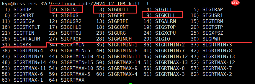 【Linux课程学习】：第20弹---信号入门专题（基础部分）