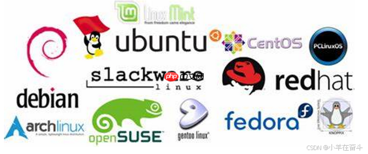 【Linux】萌新看过来!一篇文章带你走进Linux世界 【Linux】萌新看过来!一篇文章带你走进Linux世界