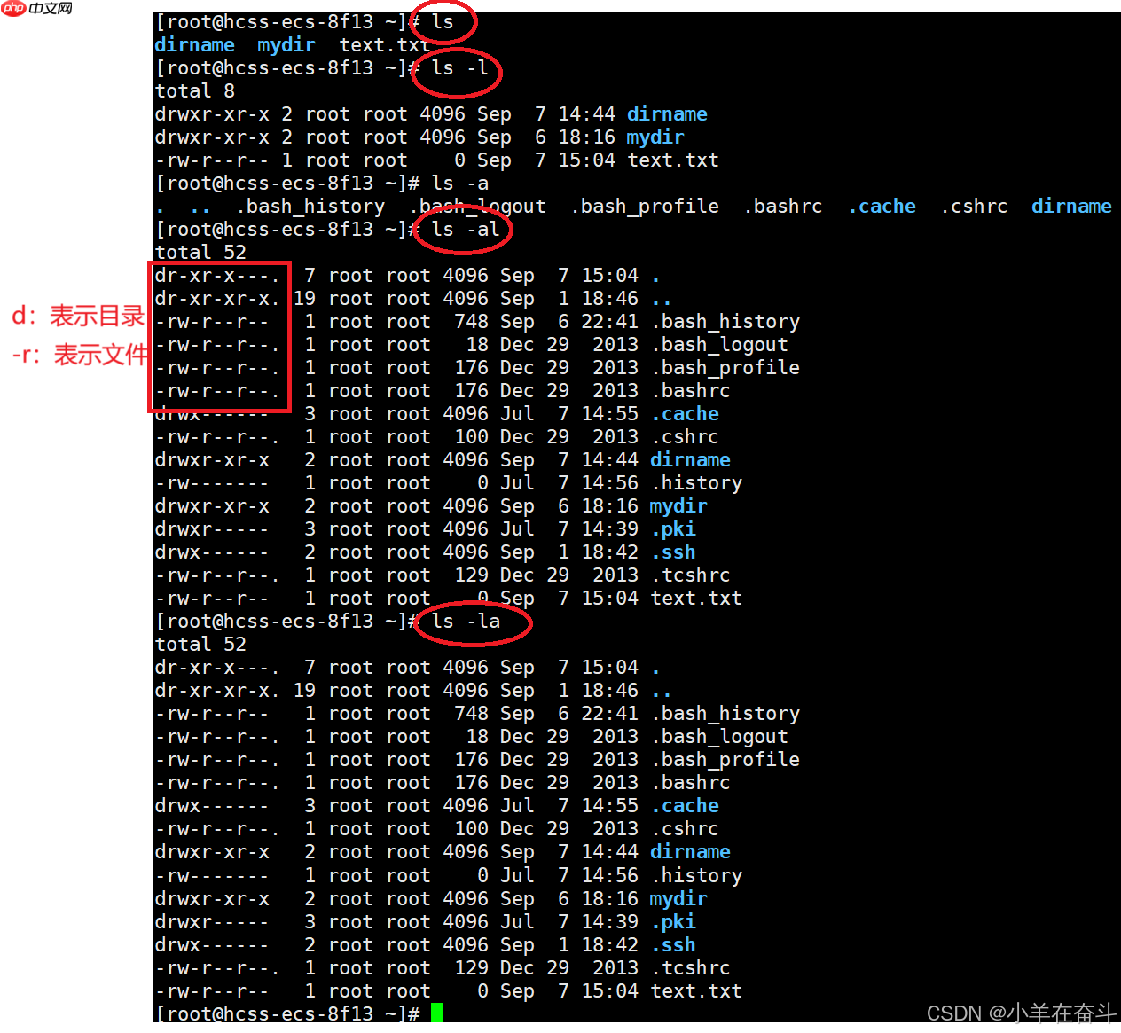 【Linux】萌新看过来!一篇文章带你走进Linux世界 【Linux】萌新看过来!一篇文章带你走进Linux世界