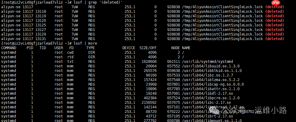 Linux进阶命令-lsof