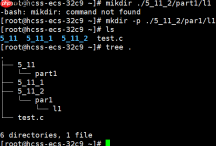 【Linux：lesson1】的基本指令