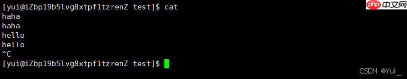 通过指令深入了解Linux 2