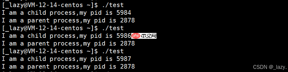 初识Linux · 进程（3）