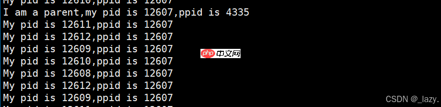 初识Linux · 进程（3）