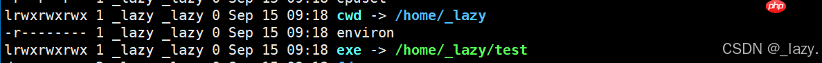 初识Linux · 进程（3）