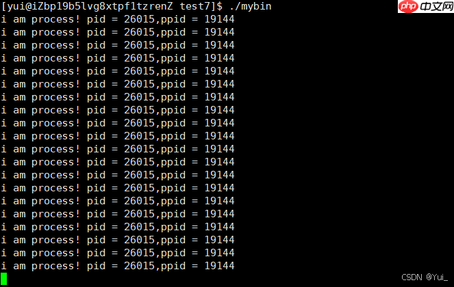 了解Linux环境下的进程