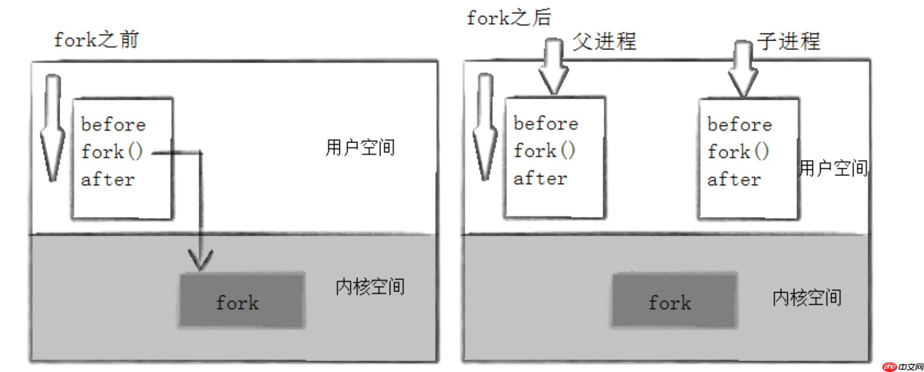 【linux】进程创建与进程终止-小浪学习网