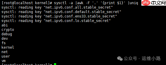 Linux内核-内核模块&参数