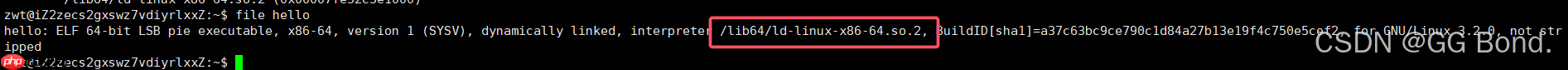 【Linux探索学习】第八弹——Linux工具篇（三）：Linux 中的编译器 GCC 的编译原理和使用详解