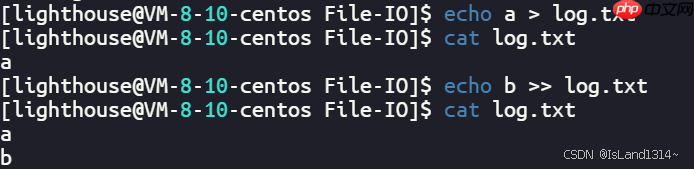 【Linux】基础 IO（文件描述符fd & 缓冲区 & 重定向）