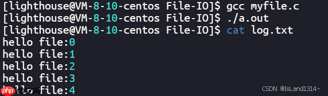【Linux】基础 IO（文件描述符fd & 缓冲区 & 重定向）