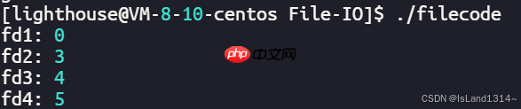 【Linux】基础 IO（文件描述符fd & 缓冲区 & 重定向）