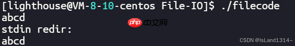 【Linux】基础 IO（文件描述符fd & 缓冲区 & 重定向）