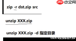 装杯 之 Linux指令【补充篇】