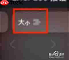 safari扩展如何管理