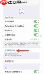 苹果手机面容支付后仍要求输入密码怎么办