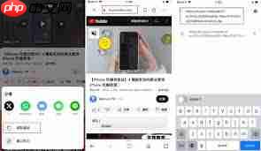 手机YouTube视频如何下载