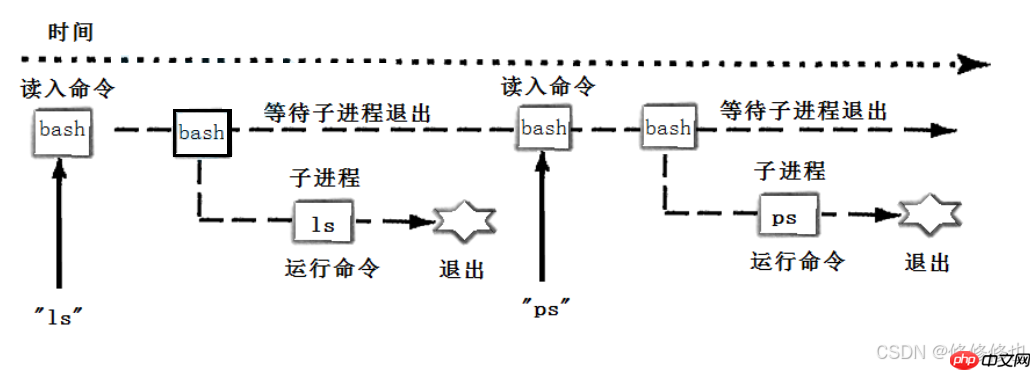 【Linux】实现一个简易的shell命令行