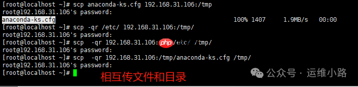 Linux进阶命令-scp