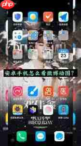 oppo微博无法显示live图原因