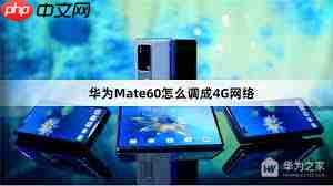 华为Mate60系列4G网络问题详解