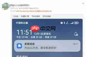 华为Mate60系列4G网络问题详解