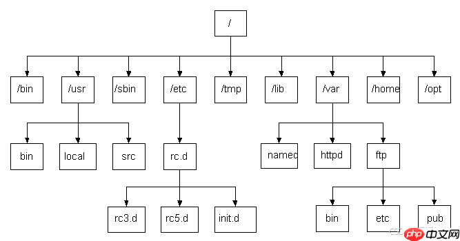 Linux基础指令（汇总）