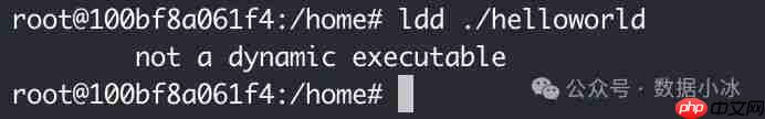 在Linux环境中使用Go编译静态二进制文件[译]