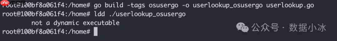 在Linux环境中使用Go编译静态二进制文件[译]