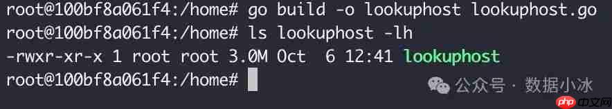 在Linux环境中使用Go编译静态二进制文件[译]
