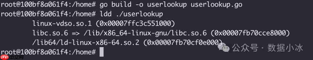 在Linux环境中使用Go编译静态二进制文件[译]