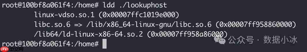 在Linux环境中使用Go编译静态二进制文件[译]