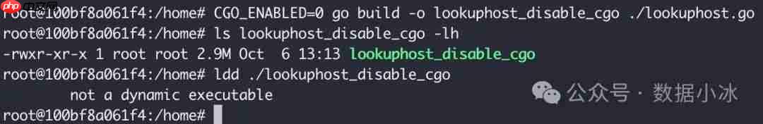 在Linux环境中使用Go编译静态二进制文件[译]
