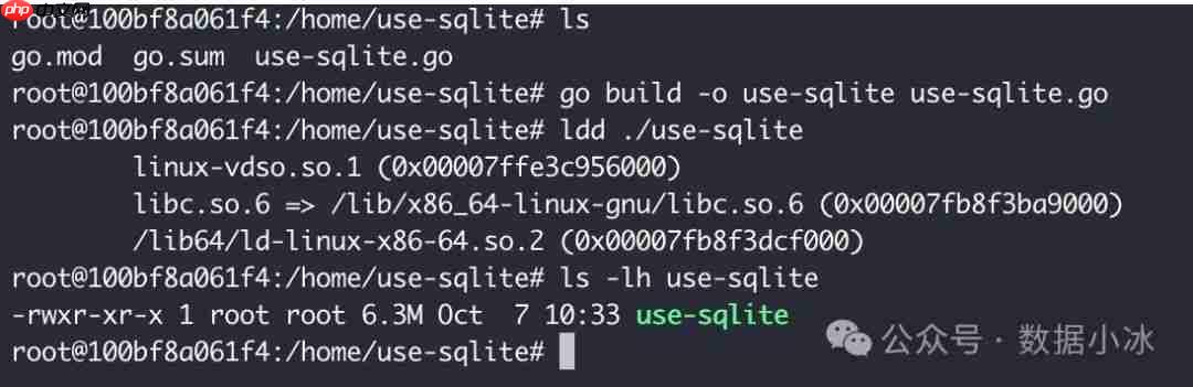 在Linux环境中使用Go编译静态二进制文件[译]