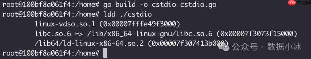 在Linux环境中使用Go编译静态二进制文件[译]
