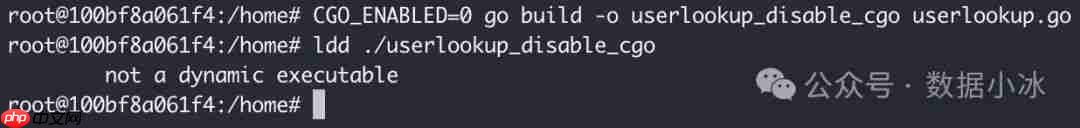 在Linux环境中使用Go编译静态二进制文件[译]