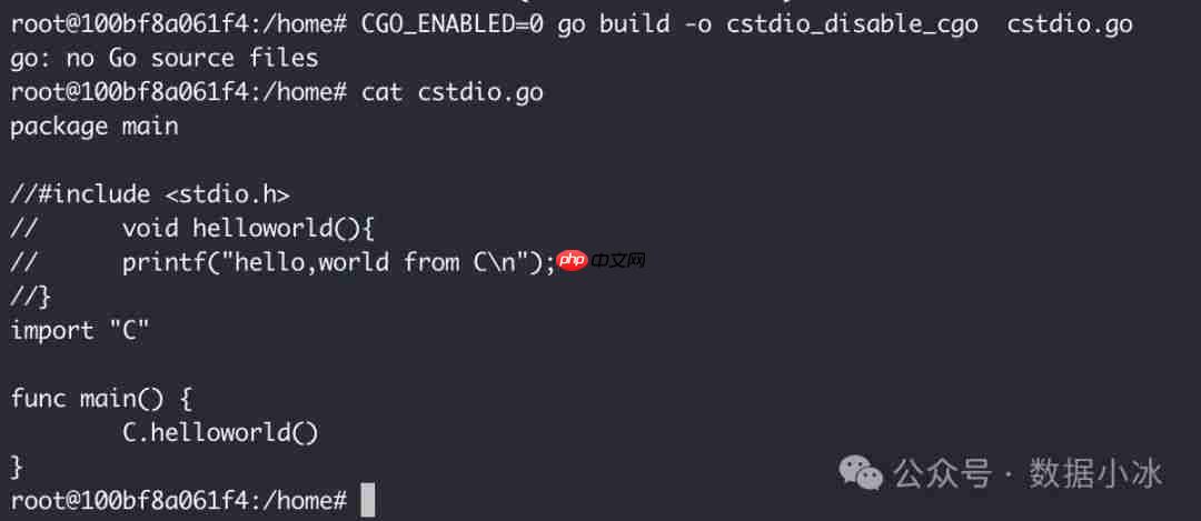 在Linux环境中使用Go编译静态二进制文件[译]