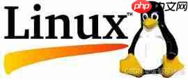 Linux入门-基础指令和权限
