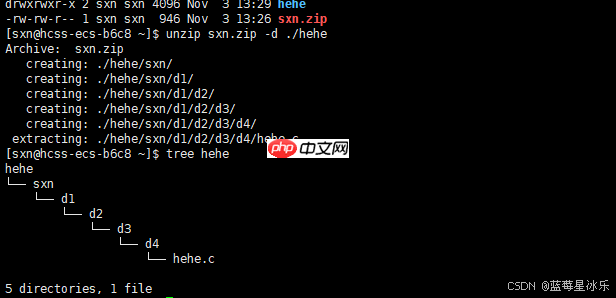 Linux入门-基础指令和权限