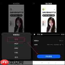 怎样轻松播放WMV视频