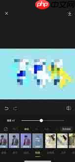 醒图怎么打码