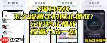 猫耳FM如何设置定时停止播放
