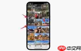 iPhone上保存照片的应用程序怎么找