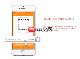 支付宝收款码如何批量申请