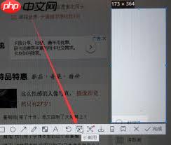 Win11截长图方法是什么
